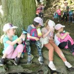 phoca_thumb_m_veverky hrad 11 Fotogalerie